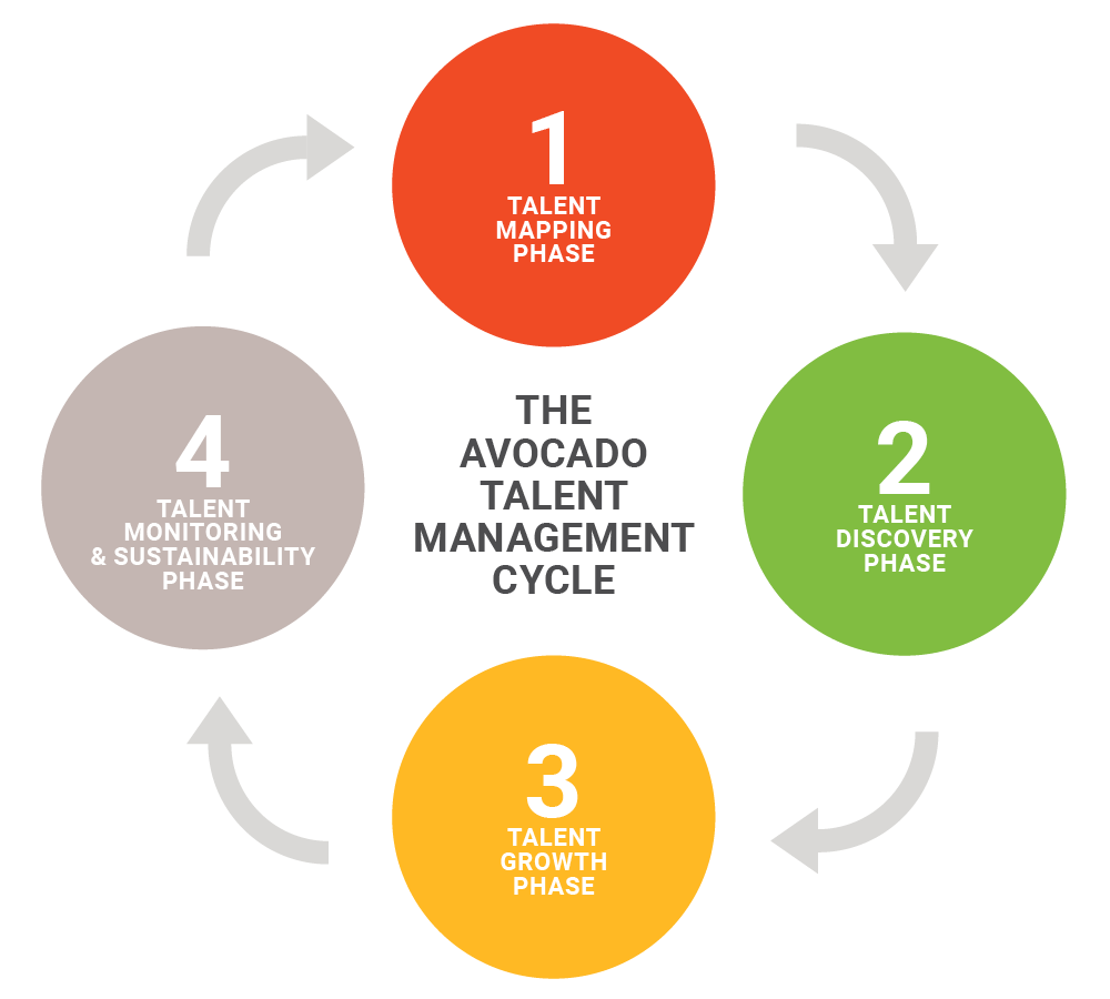 The Avocado Talent Management Cycle